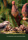 Cover for Den roliga boken för barn om våra vanligaste småfåglar: En bilderbok med autentiska bilder.