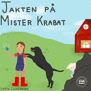 Omslagsbild för Jakten på Mister Krabat