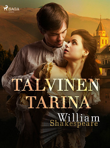 Cover for Talvinen tarina