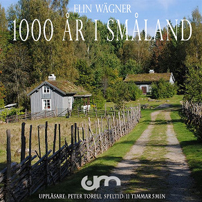 Omslagsbild för Tusen år i Småland