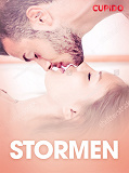 Omslagsbild för Stormen - erotiska noveller