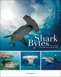 Omslagsbild för Shark Bytes