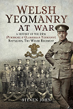 Omslagsbild för Welsh Yeomanry at War