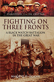 Omslagsbild för Fighting on Three Fronts