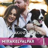 Cover for Ett läkande leende
