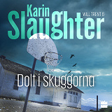 Cover for Dolt i skuggorna