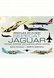 Omslagsbild för Sepecat Jaguar