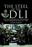 Omslagsbild för Steel of the DLI (2nd Bn 1914/18)