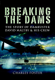 Omslagsbild för Breaking the Dams