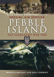 Omslagsbild för Pebble Island