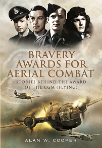 Omslagsbild för Bravery Awards for Aerial Combat