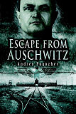 Omslagsbild för Escape From Auschwitz