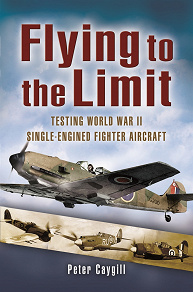 Omslagsbild för Flying to the Limit