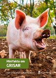 Cover for Minifakta om grisar
