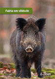 Cover for Fakta om vildsvin
