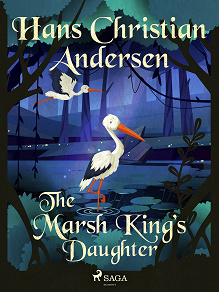 Omslagsbild för The Marsh King’s Daughter