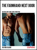 Omslagsbild för The Farmhand Next Door - and other erotic short stories