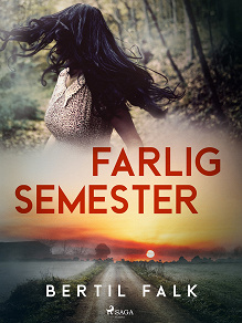 Omslagsbild för Farlig semester