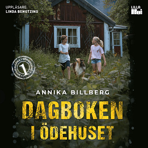 Omslagsbild för Dagboken i ödehuset