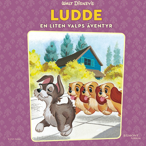 Cover for Ludde - en liten valps äventyr