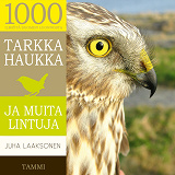 Cover for Tarkka haukka ja muita lintuja