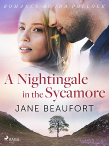 Omslagsbild för A Nightingale in the Sycamore