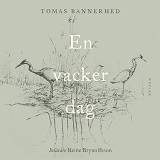 Cover for En vacker dag