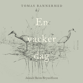 Cover for En vacker dag