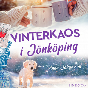 Omslagsbild för Vinterkaos i Jönköping 
