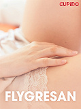 Omslagsbild för Flygresan - erotiska noveller