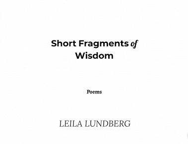 Omslagsbild för Short Fragments of Wisdom