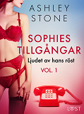 Omslagsbild för Sophies tillgångar vol. 1: Ljudet av hans röst - erotisk novell