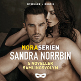 Cover for Noraserien 5 noveller samlingsvolym