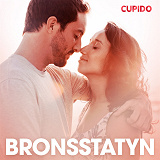 Cover for Bronsstatyn - erotiska noveller