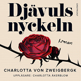 Cover for Djävulsnyckeln