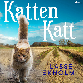 Omslagsbild för Katten Katt