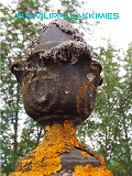 Cover for Muovilippalakkimies