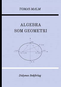 Cover for Algebra som geometri: Portfölj IV av "Den första matematiken"