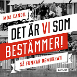 Omslagsbild för Det är vi som bestämmer! - Så funkar demokrati. Nivå 3 (lättläst)