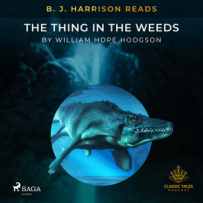 Cover for B. J. Harrison Reads The Thing in the Weeds