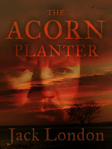 Cover for The Acorn Planter