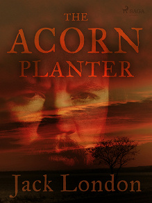 Omslagsbild för The Acorn Planter