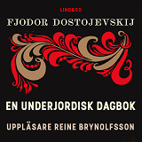 Bokomslag för En underjordisk dagbok