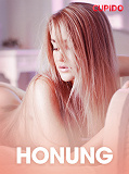 Omslagsbild för Honung - erotiska noveller