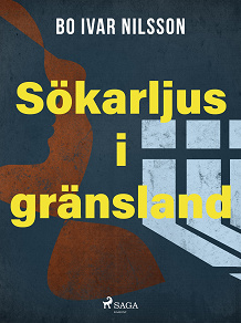 Omslagsbild för Sökarljus i gränsland