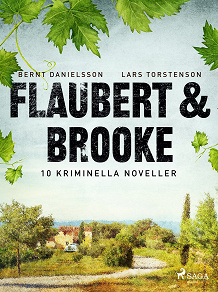 Omslagsbild för Flaubert &amp; Brooke