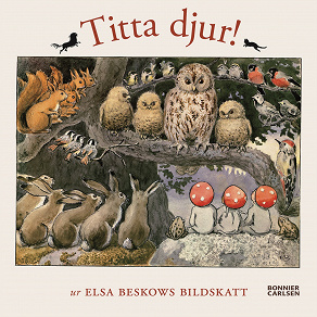 Omslagsbild för Titta djur! : Ur Elsa Beskows bildskatt