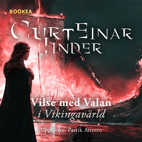 Cover for Vilse med Valan i Vikingavärld