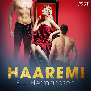 Omslagsbild för Haaremi - eroottinen novelli