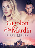 Omslagsbild för Gigolon från Mardin - erotisk novell